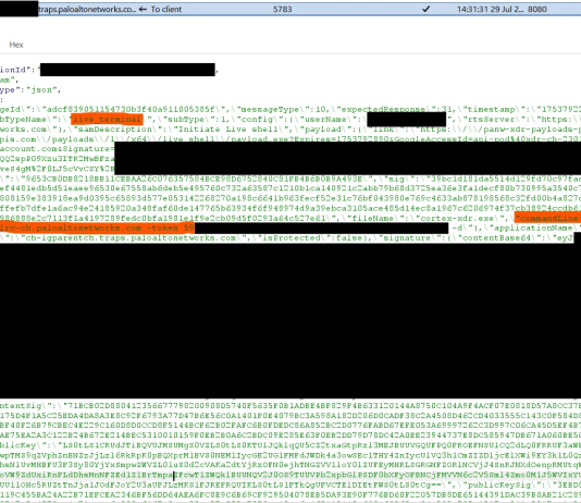 Hackers Can Abuse Cortex XDR Live Terminal Feature for C2 Communications