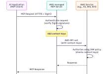Understanding IAM for Managed AWS MCP Servers